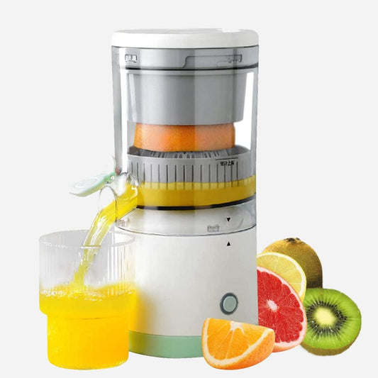 Portable Fruit Juicer