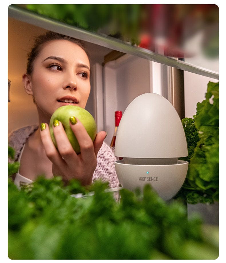 Refrigerator Deodorizer